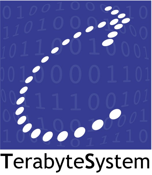 Logotipo TerabyteSystem